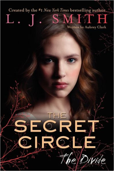 The Divide (Secret Circle Series #4)