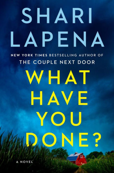 What Have You Done?: A Novel