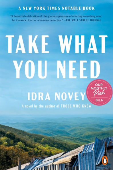 Take What You Need: A Novel