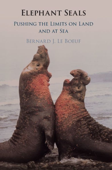 Elephant Seals: Pushing the Limits on Land and at Sea