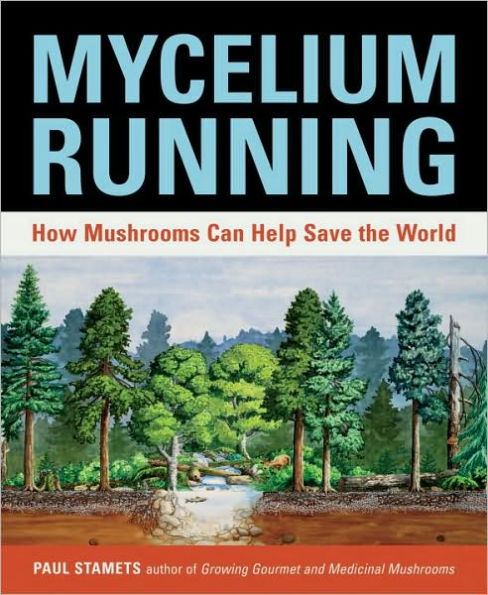 Mycelium Running: How Mushrooms Can Help Save the World