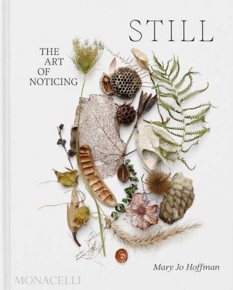 STILL: The Art of Noticing