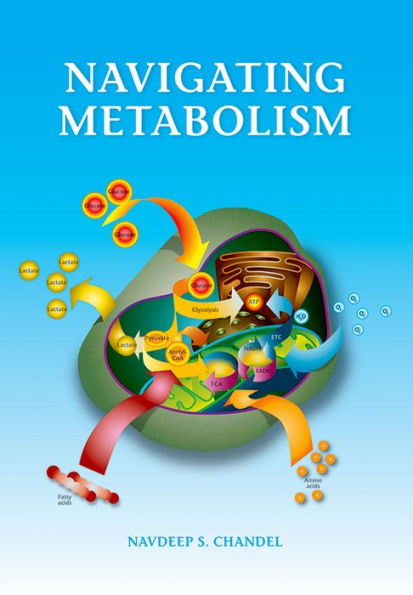 Navigating Metabolism