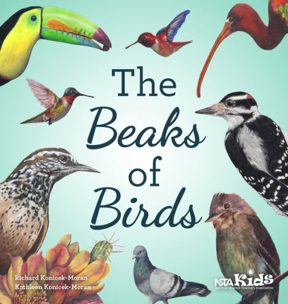 The Beaks of Birds