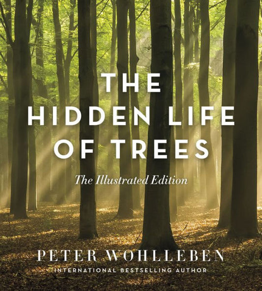 The Hidden Life of Trees: The Illustrated Edition