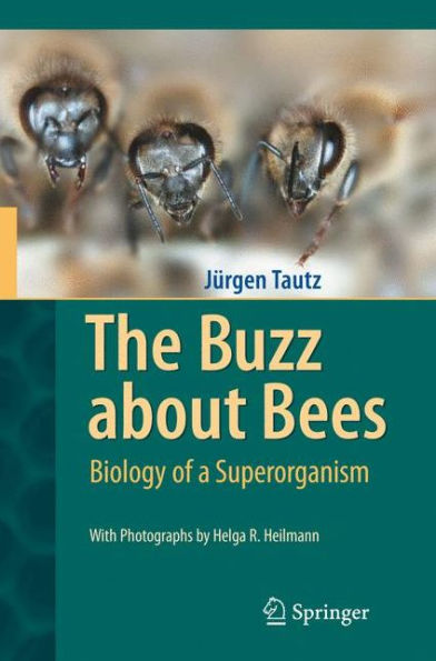 The Buzz about Bees: Biology of a Superorganism / Edition 1